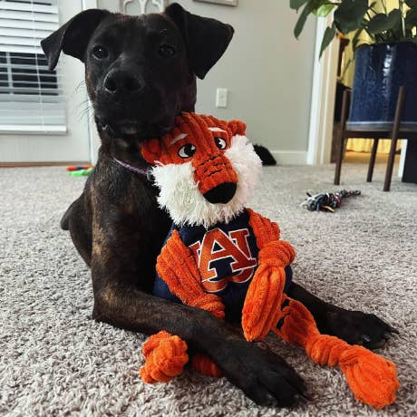 HuggleGroup - Wholesale Pet Plush Toy - Dog - Auburn University, Aubie the Tiger Knottie® Plush Dog Toy5
