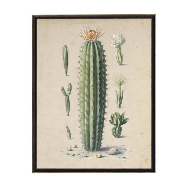 Cactus bookplate on a distressed background for wholesale by Antique Curiosities Inc