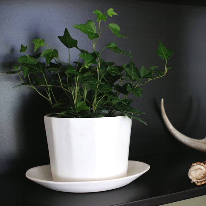 Maceta nativa para venta al por mayor de The Bright Angle