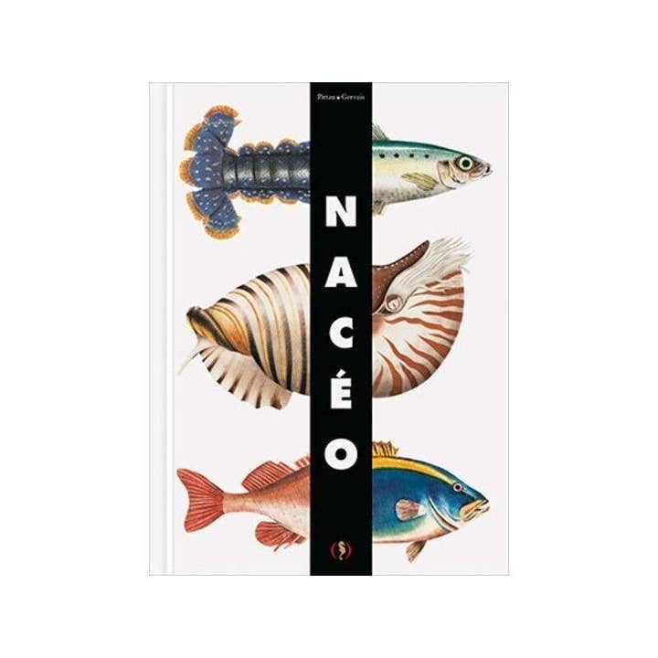 Barnbok - Nacéo / Pop-upbok för wholesale av Éditions des Grandes Personnes