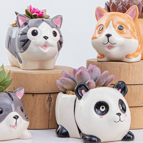 Springer Décor - Wholesale Plant Pot - Animal Set 2