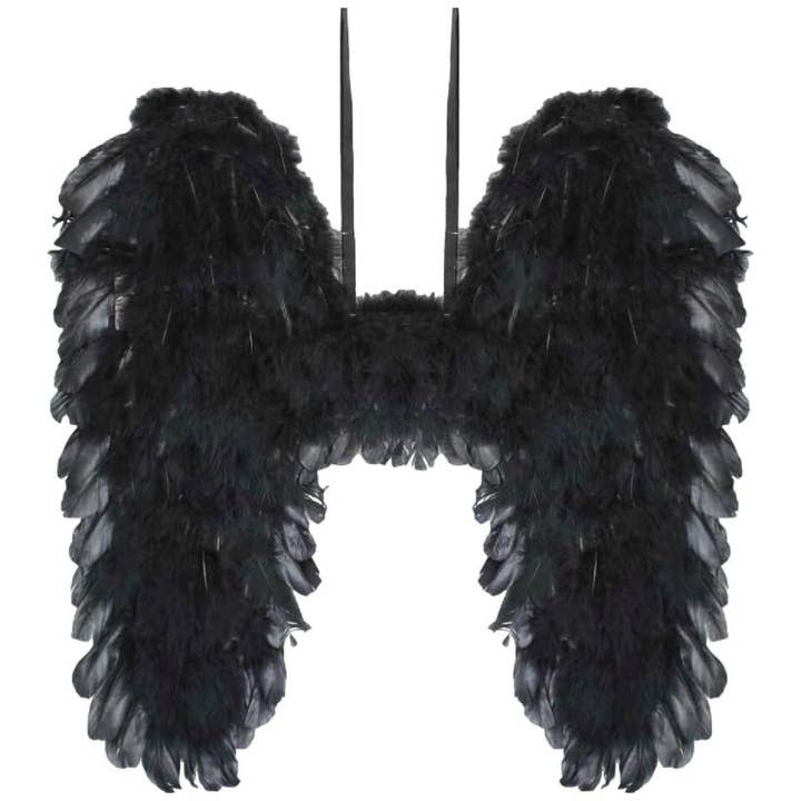 Black Angel Wings Costume for wholesale by Jactal
