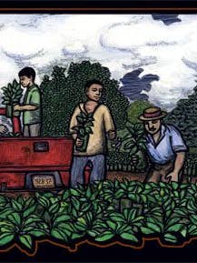 Semis (Affiche) pour la vente par Ricardo Levins Morales Art Studio