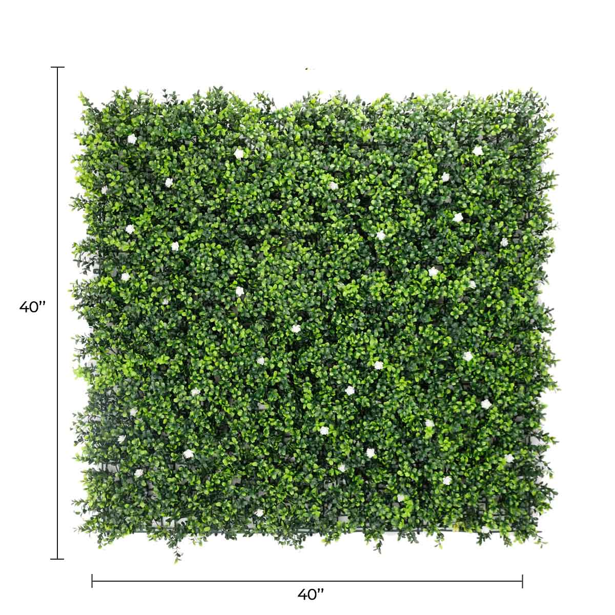 Designer Plants - Vente Plantes artificielles - Mur de Buis Artificiel à Fleurs Blanches 40" x 40" 11SQ FT Qualité Commerciale Résistant aux UV1