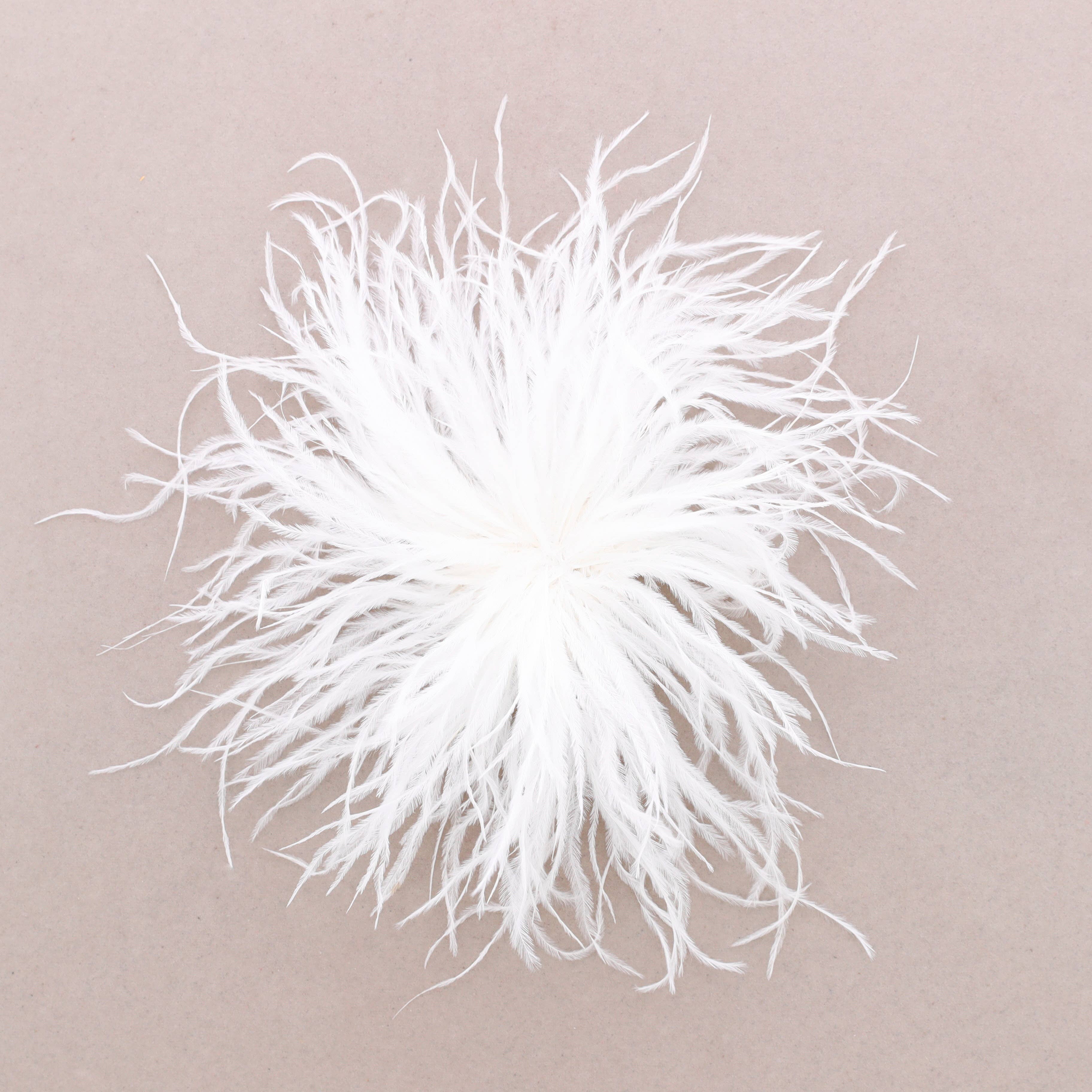 Sonata – wholesale Snap jewellery – Feather Brooch 10-15cm (B)1