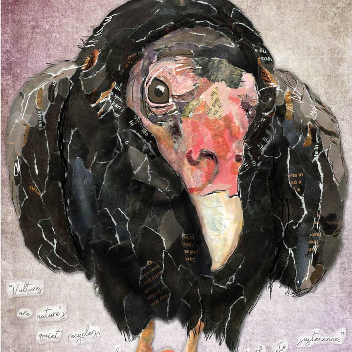 Found & Rewound - Wholesale Everyday Greeting Card - Vulture - greeting card1