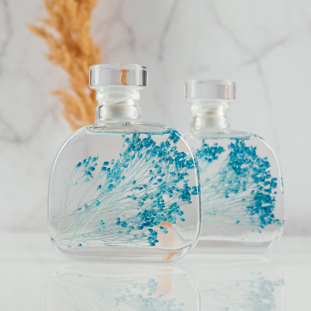 Theophile Berthon - Vente Plante - L'Herbarium Capsule- Broom bloom bleu-plante immergée2