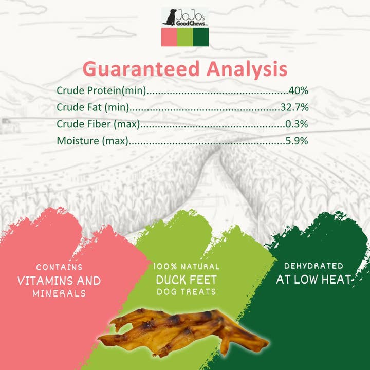 Jojo Modern Pets - Wholesale Pet Treats - Dog - Duck Feet Dog Treats - Single-Ingredient Chews (25/Bag)