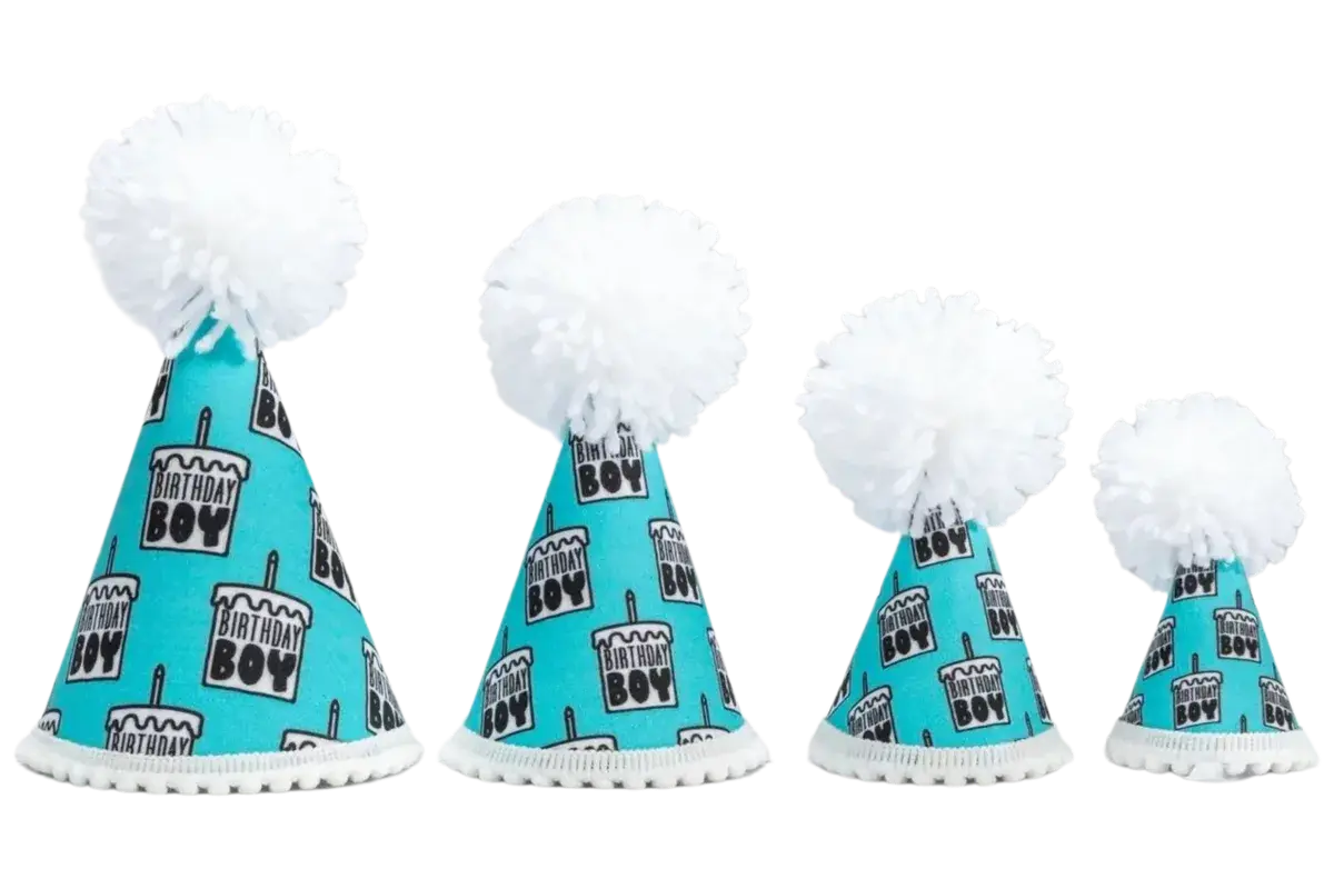 Pup Party Hats - Wholesale Pet Hat - Dog - Birthday Boy Black Ink Hat1