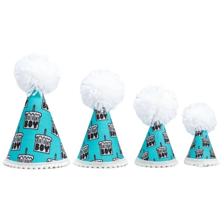 Pup Party Hats - Wholesale Pet Hat - Dog - Birthday Boy Black Ink Hat1