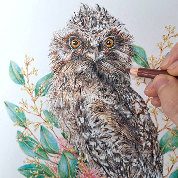 Kayla Reay Design - Wholesale Art print - Tawny Frogmouth Art Print3