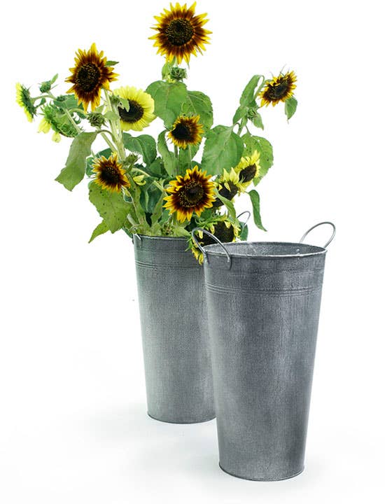 Buhi Imports – wholesale Spannar och hinkar – 8" Diameter Hög Fransk Marknad Vintage Hink-ingen liner1