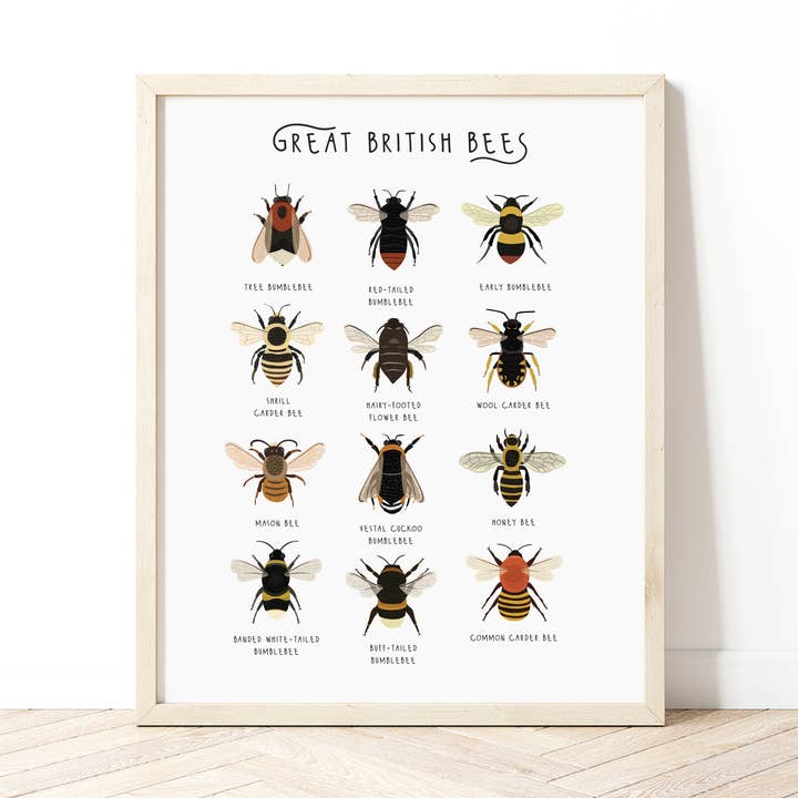 Stampa Great British Bees per la vendita all'ingrosso da parte di Bea Baranowska Illustration