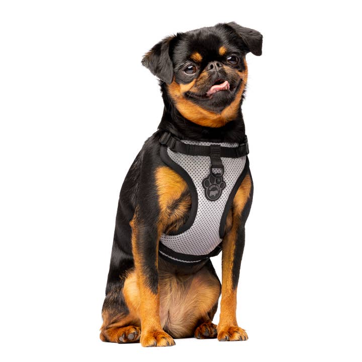 Canada Pooch - Wholesale Pet Harness - Dog - Everything Harness- No-Pull Dog Harness (Mesh)7