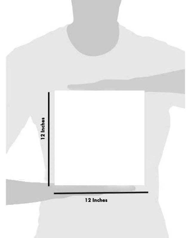 CrafTreat – wholesale Wall stencils – CrafTreat Rose blooms Stencil 12x12 Inches2