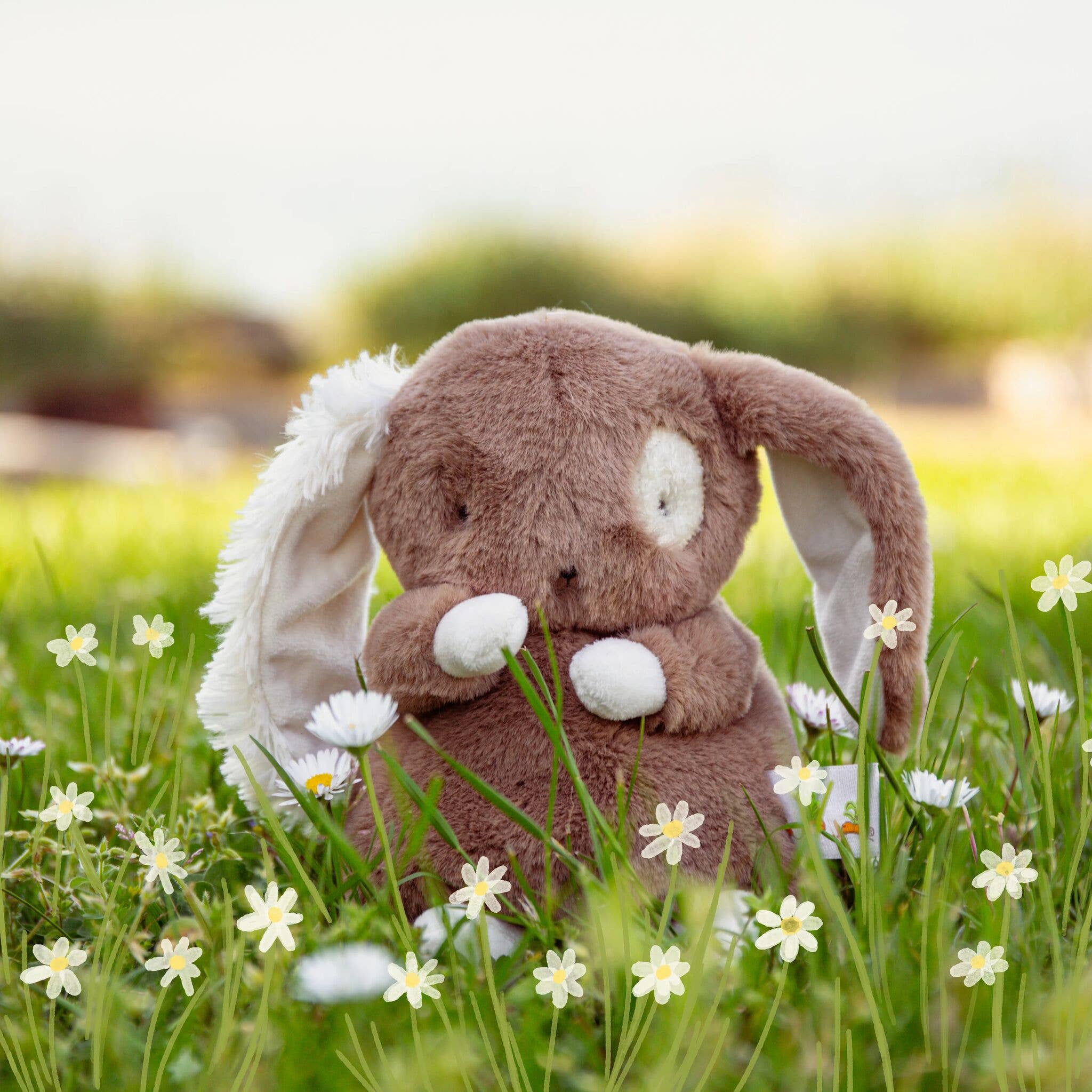 Bunnies By the Bay - Wholesale Stuffed/Plush Toy - Kids & Baby - Baby Harriet Hare Bunny1