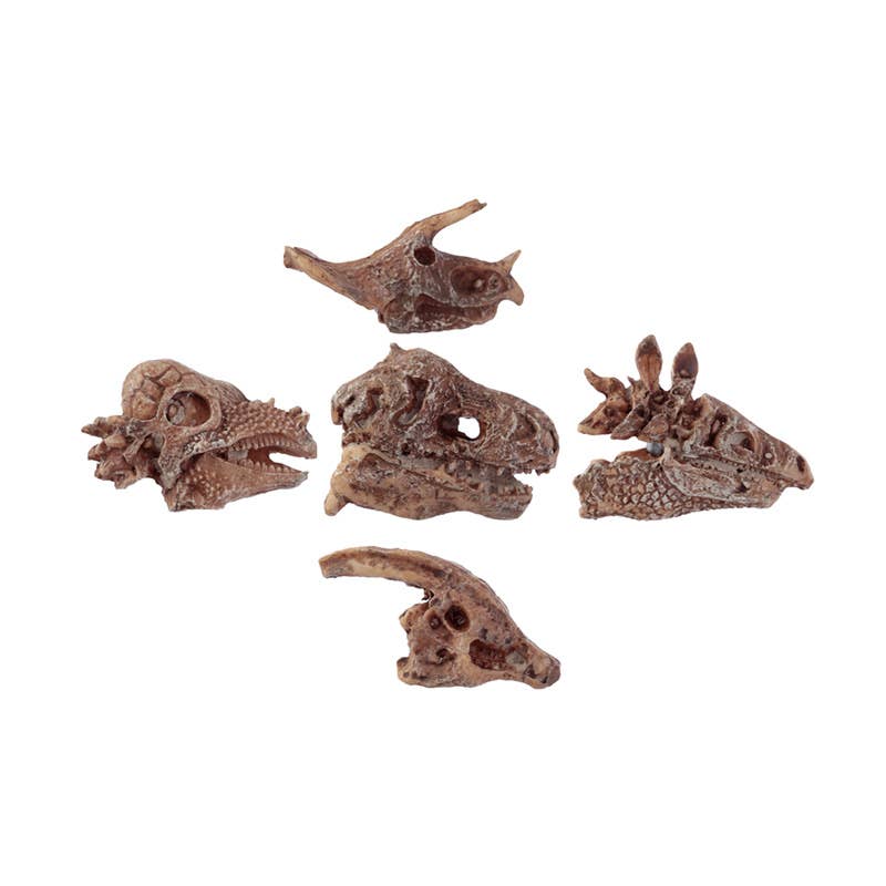 Puckator EU - Wholesale Puzzle - Kids - Rawr Dinosaur Skull Fossil Dig-A-Saurs Dig it Out Kit1