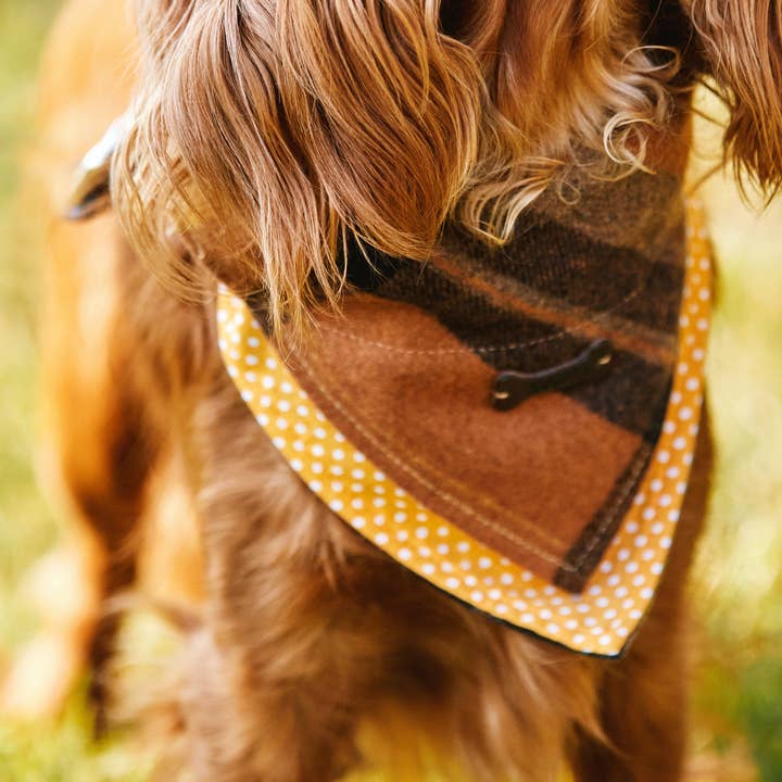 Heritage Traditions - Wholesale Pet Bandana - Dog - Heritage Hounds Tartan Dog Bandana12