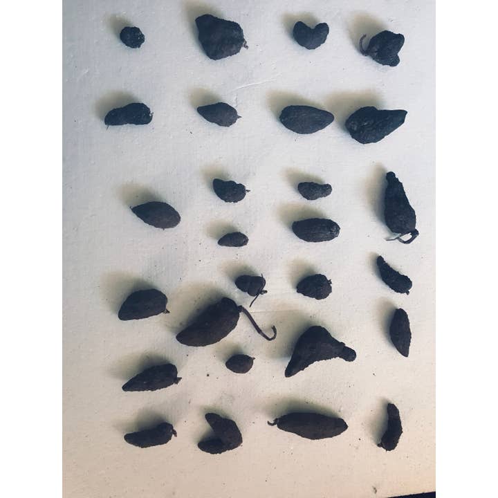 Michelle Hoffmann - Wholesale Plant seeds - Edible Air Potatoes/Yams Aka Dioscorea Alata1