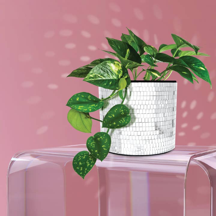 NPW - Wholesale Plant Pot - Disco Tabletop Planter