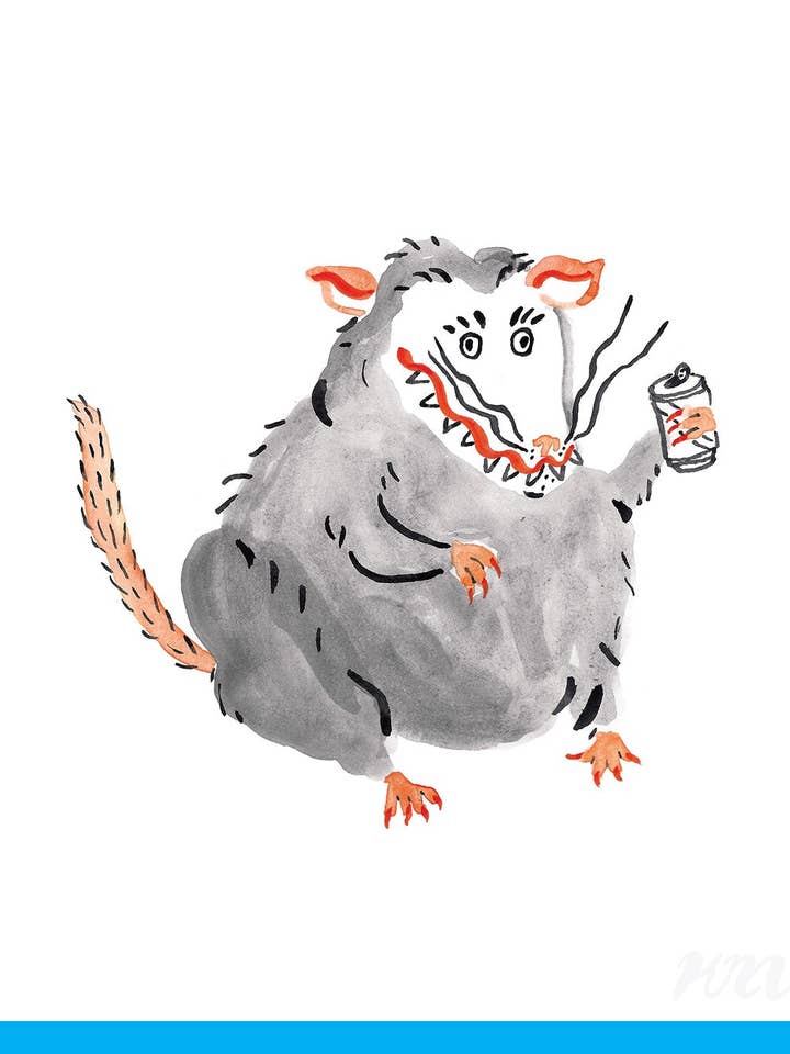 Impression de l'opossum buveur pour la vente par Kristina Micotti