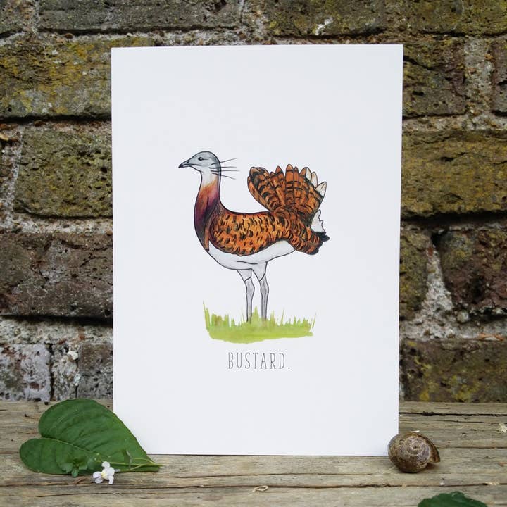 Great Bustard Blank Greetings Card for wholesale by Little Plover