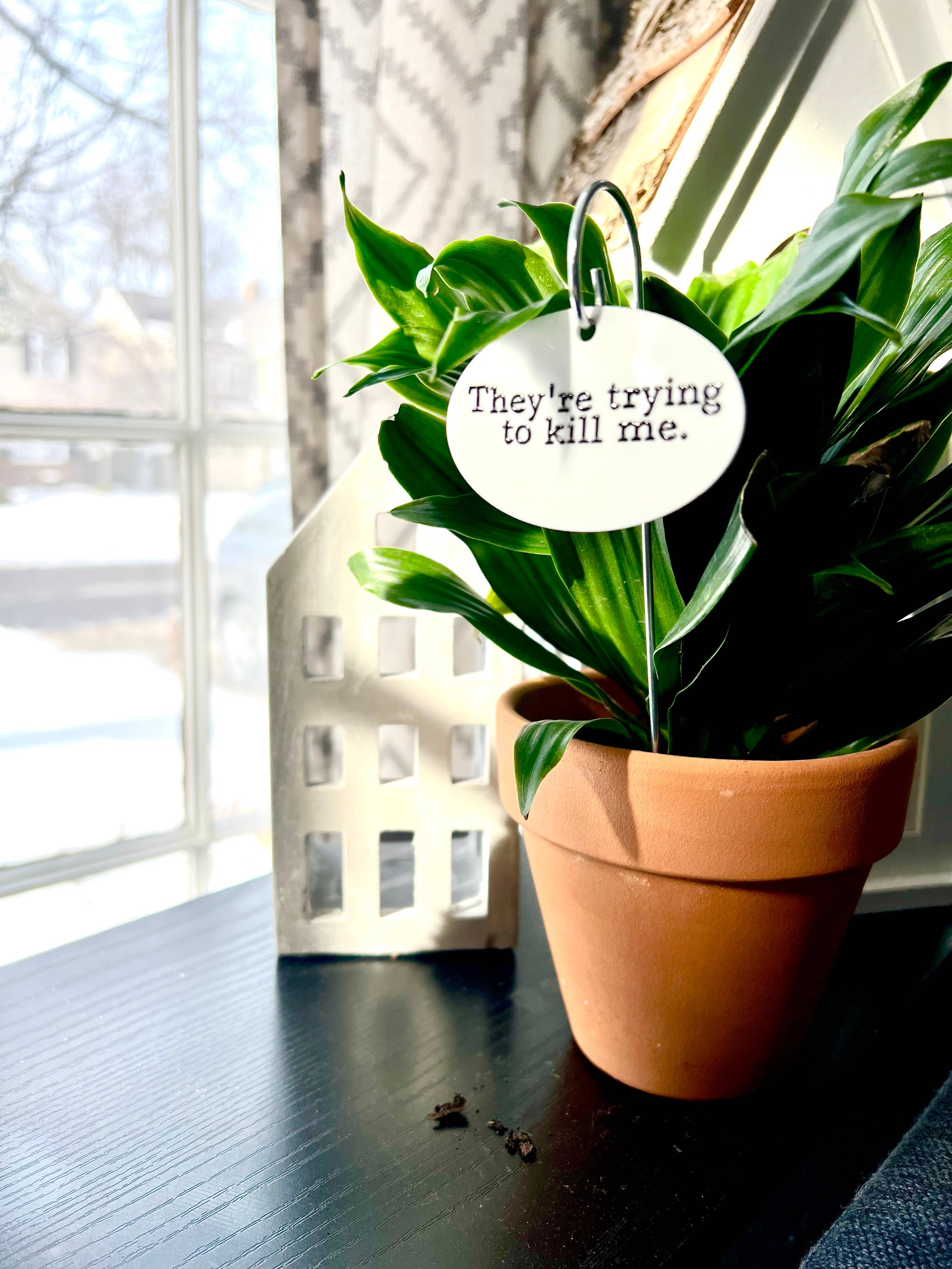 Buffalovely - Wholesale Garden/lawn stake - They're Trying To Kill Me Flower Pot Plant Stake 1