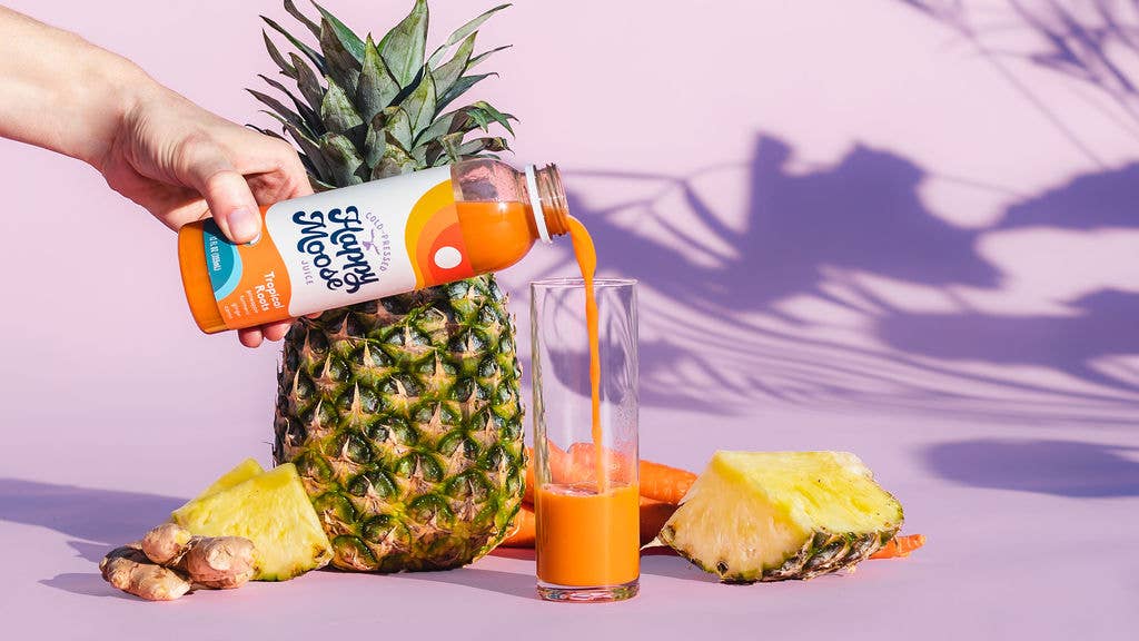 Happy Moose Juice - Wholesale Wellness Juice/Tonic - Sampler Bundle - Cold-Pressed Juice - 9 Recipes x 4 Bottles18