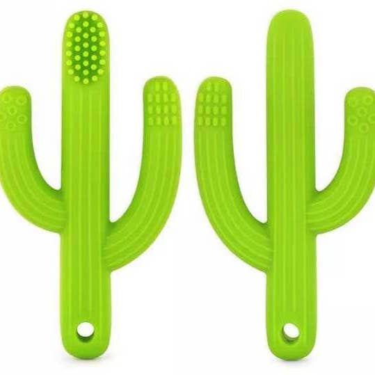 Brosse um cacto de mossa por atacado de Création cocolyly inc.