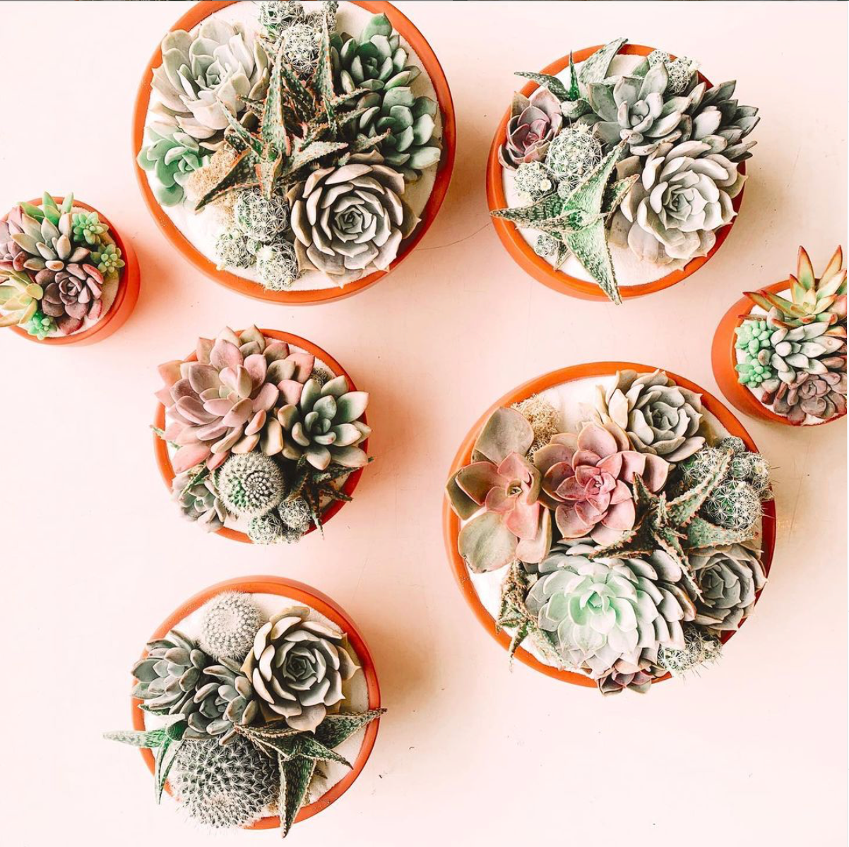 Momma Pots - Wholesale Plant Pot - 9" Pedestal Home and Garden Bowls24