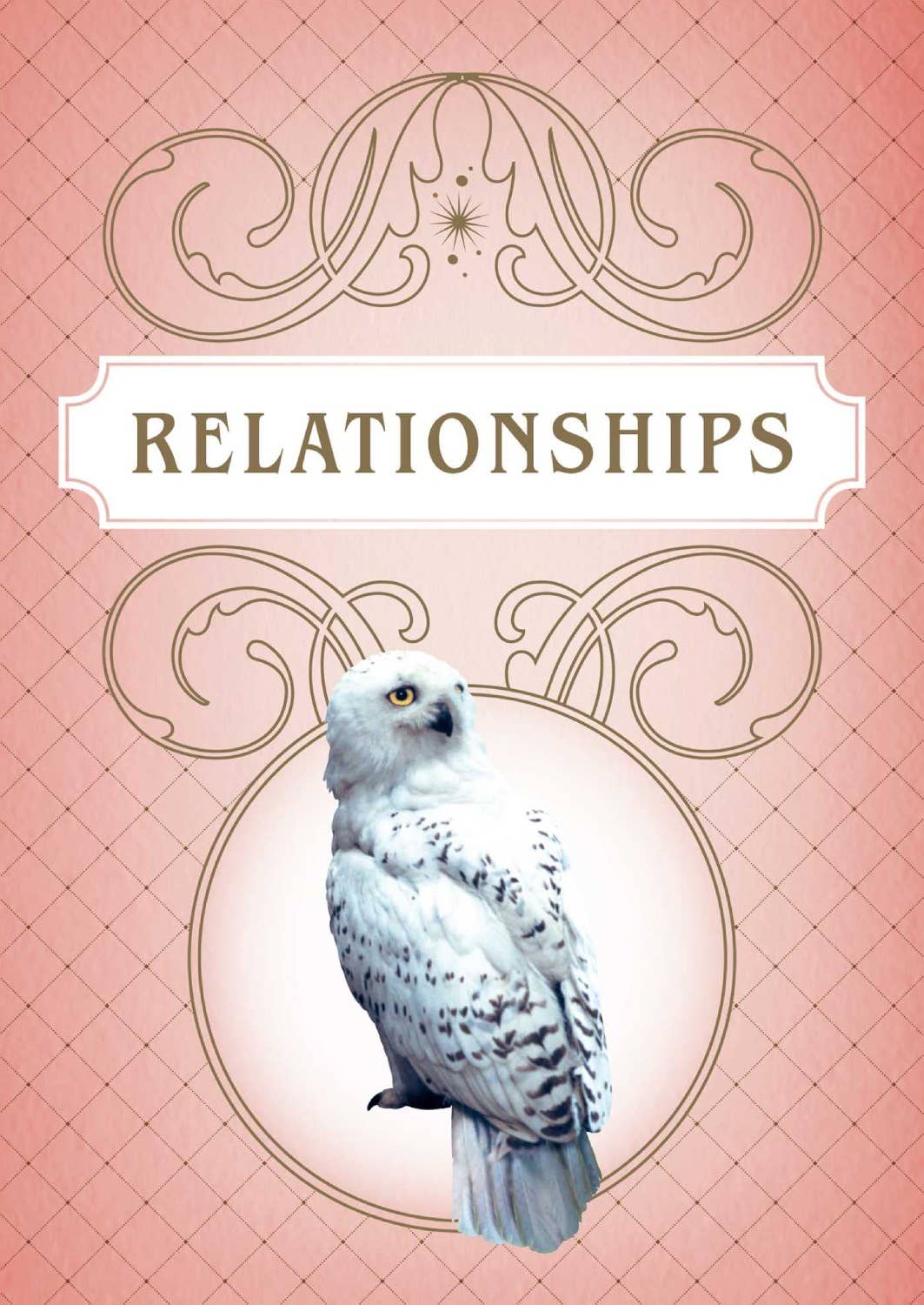 Cardshouse – Engroshandel Tarotkort – Harry Potter Magiske Meditationskort Indsigtsudgaver12