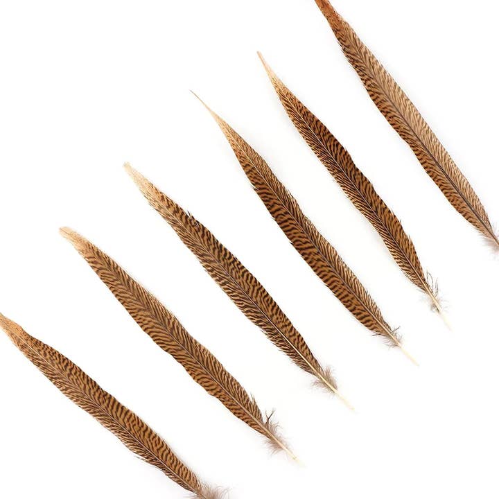 Zucker Feather Products - Wholesale Craft Supplies - 10 PC/PKG Golden Pheasant Tails 14-16" - Natural