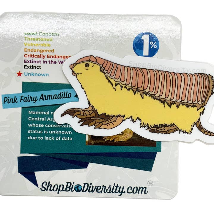 Shop BioDiversity - Wholesale Sticker - Pink Fairy Armadillo Vinyl Sticker - Cute Animal Decal