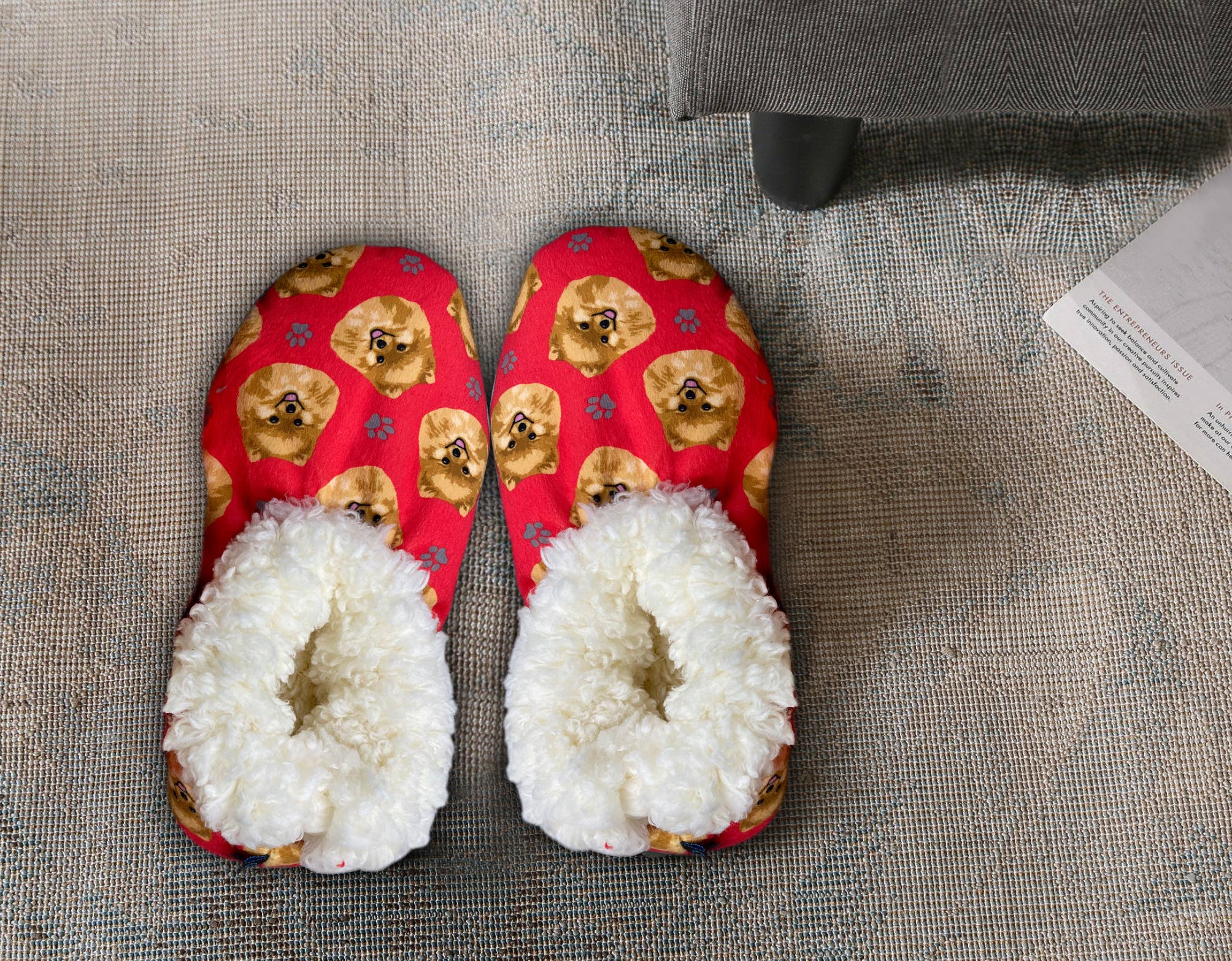 E&S Pets - Vente Chaussons – femme - Pantoufles Poméranie4