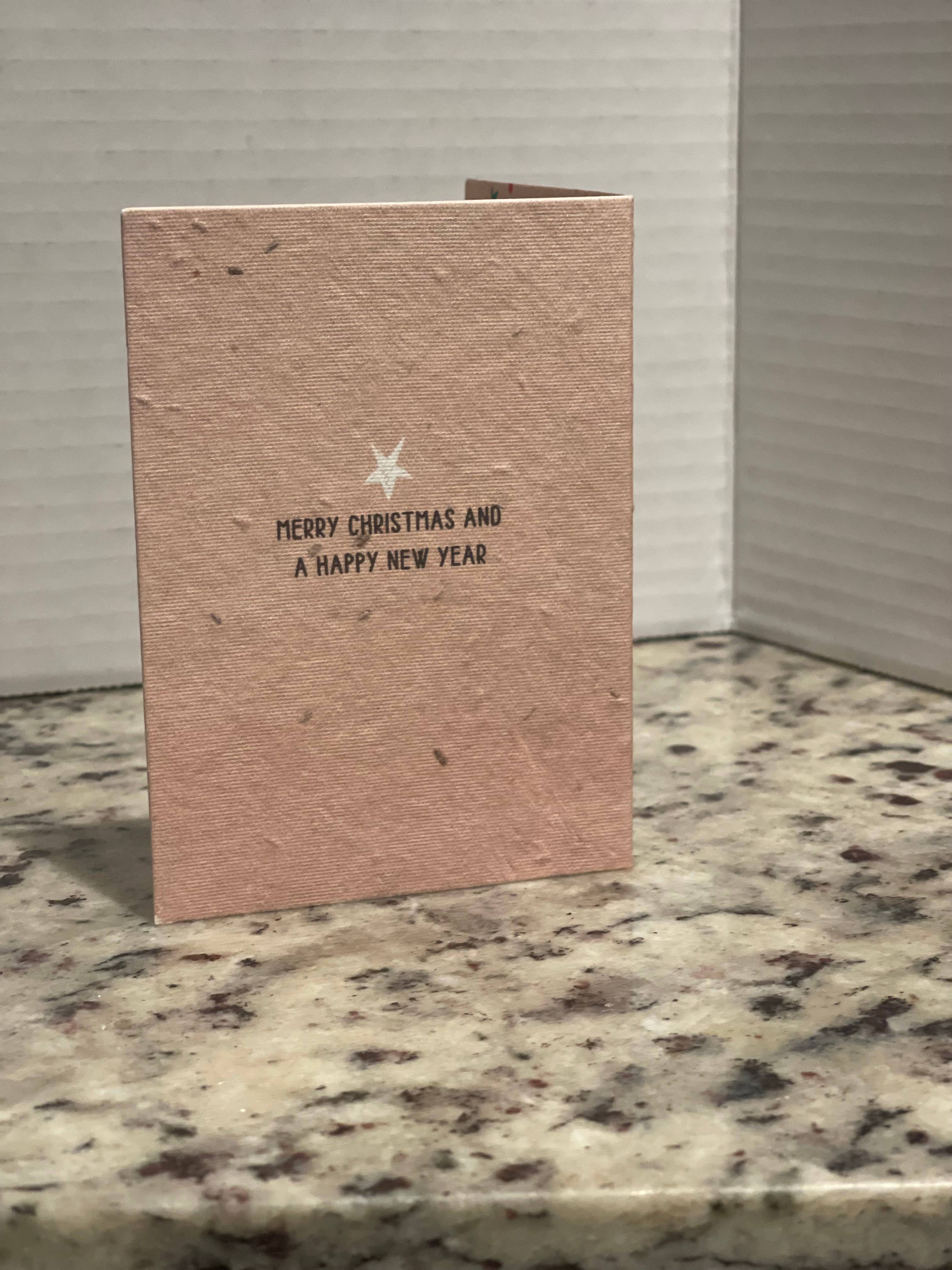 Granny B's Holiday Depot - Wholesale Christmas Card - Plantable Christmas Cards6