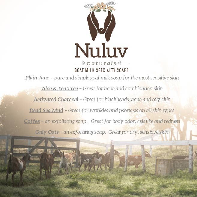 Nuluv Goat Milk Products - Wholesale Bar Soap - Nuluv Naturals Goat Milk 4-oz Bar Soaps - Fragrance Free7