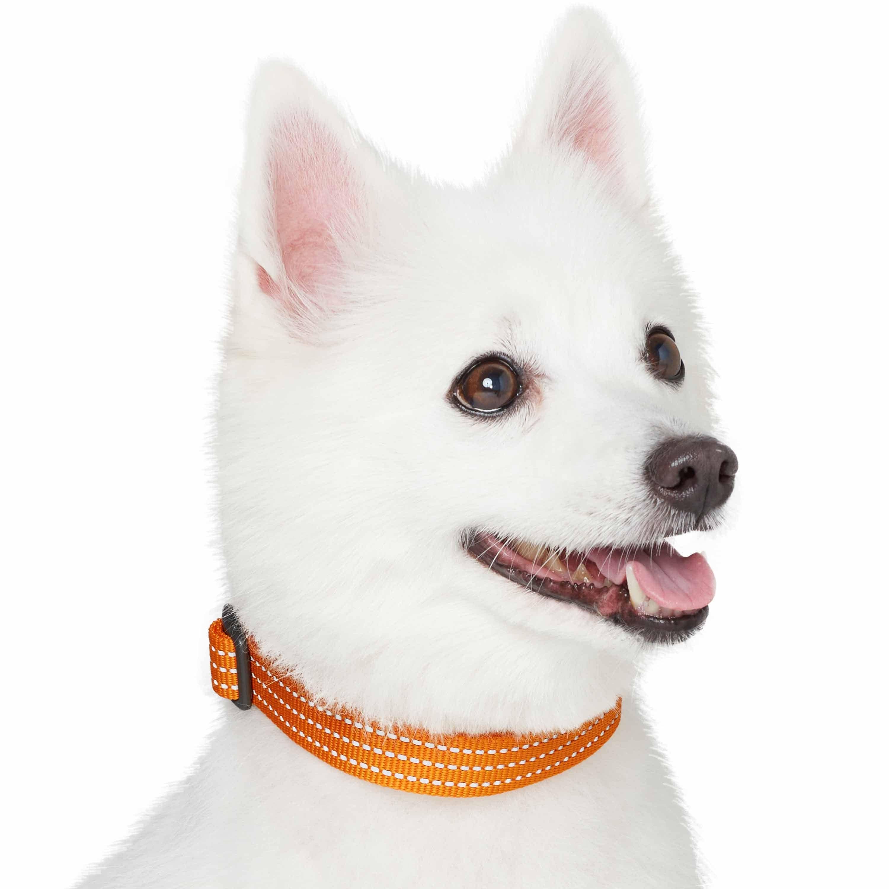 Blueberry Pet - Venta al por mayor Collar - Perros - Collar reflectante para perros Better Basic en 8 colores19