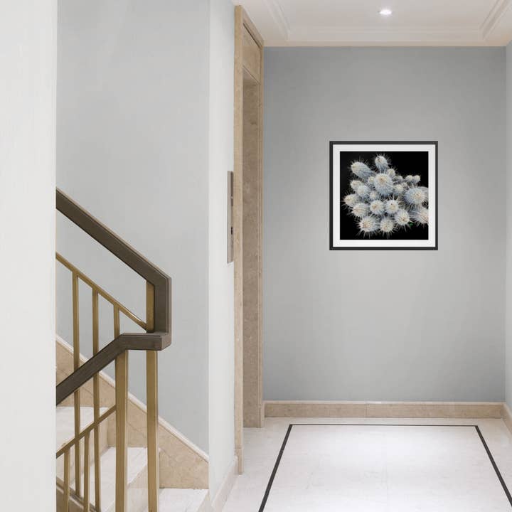 "Prickly but Polite" Desert Collection for Faire for wholesale by The Blooming Collector