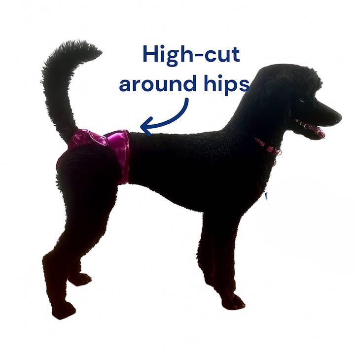 Jack & Jill Dog Diapers - Wholesale Pet Diaper - Dog - High-Cut Dog Diaper Britches - Pink3