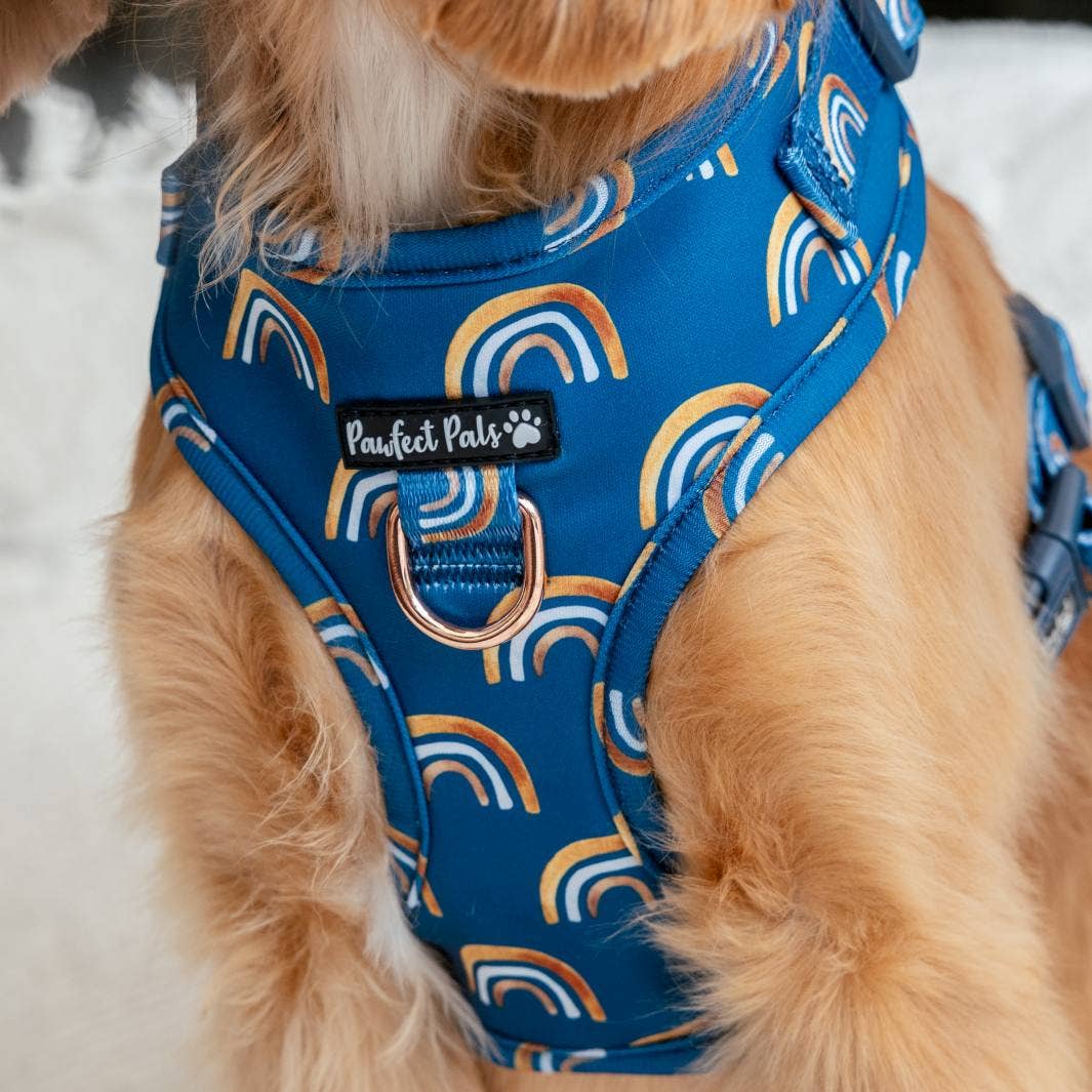 Pawfect Pals – Engroshandel Kæledyrssele – Hund – Wild at Heart - Golden Horizons justerbart sele uden træk fra Pawfect Pals3