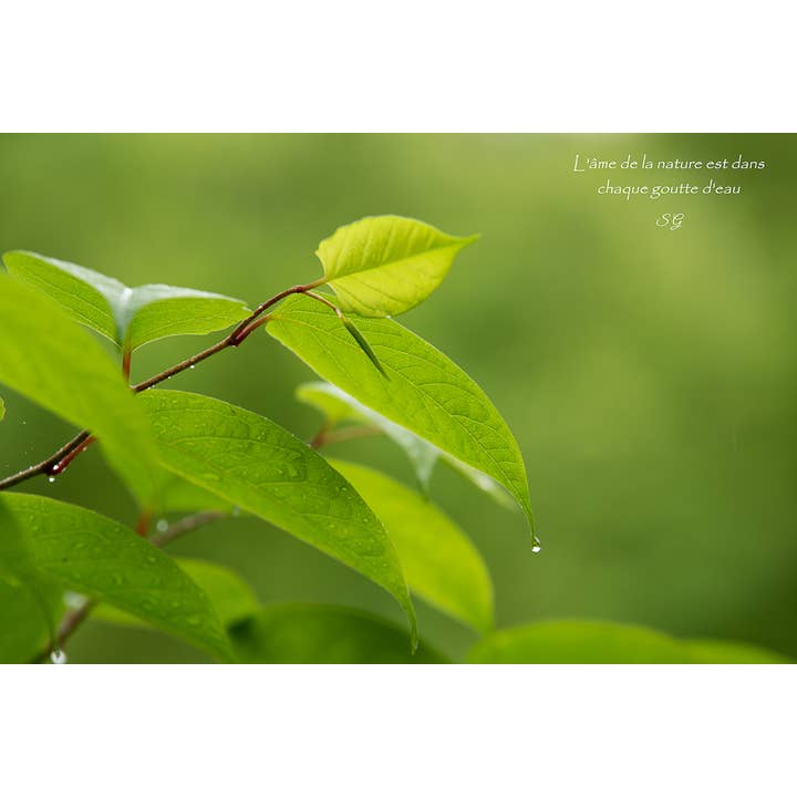 Un Instant pour la vente par L'Ecriture D'Un Regard