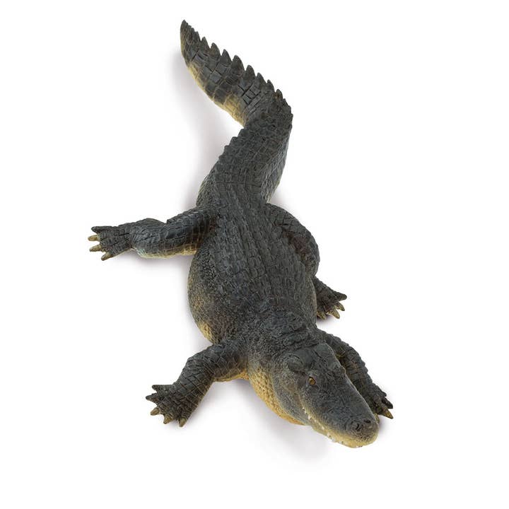 Safari Ltd. - Wholesale Figurine Toy - Kids - Wildlife Alligator Figurine Toy for Kids6