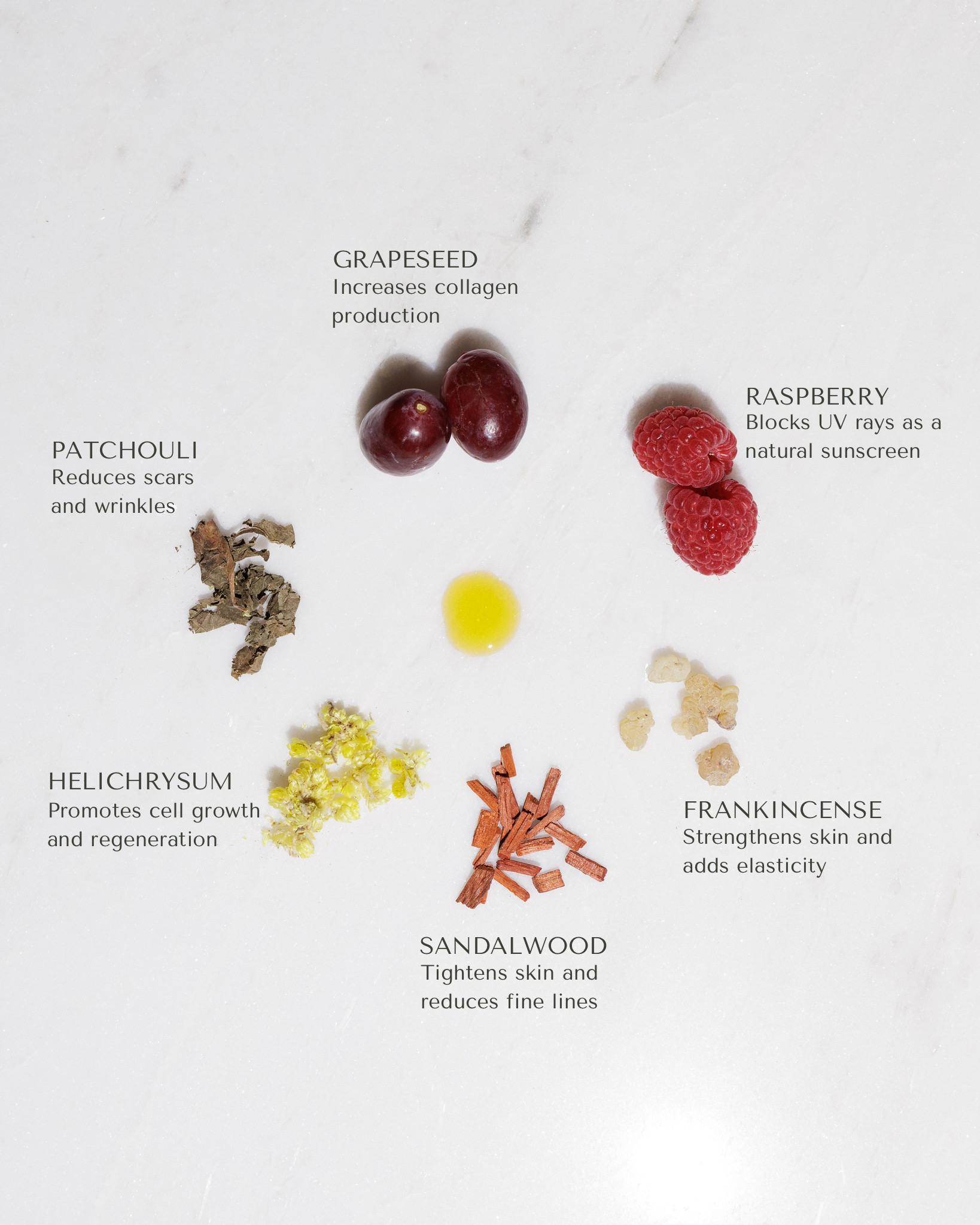 Dhaerma Skin - Wholesale Facial Oil - EverBloom | Face Oil5