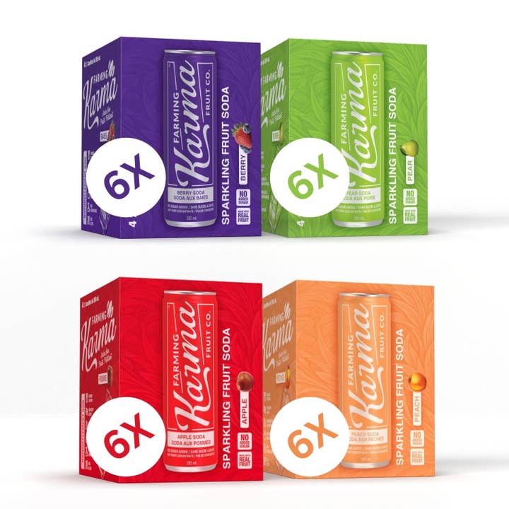 Fruit Soda Business Bundle for wholesale by Farming Karma Fruit Co. Ltd