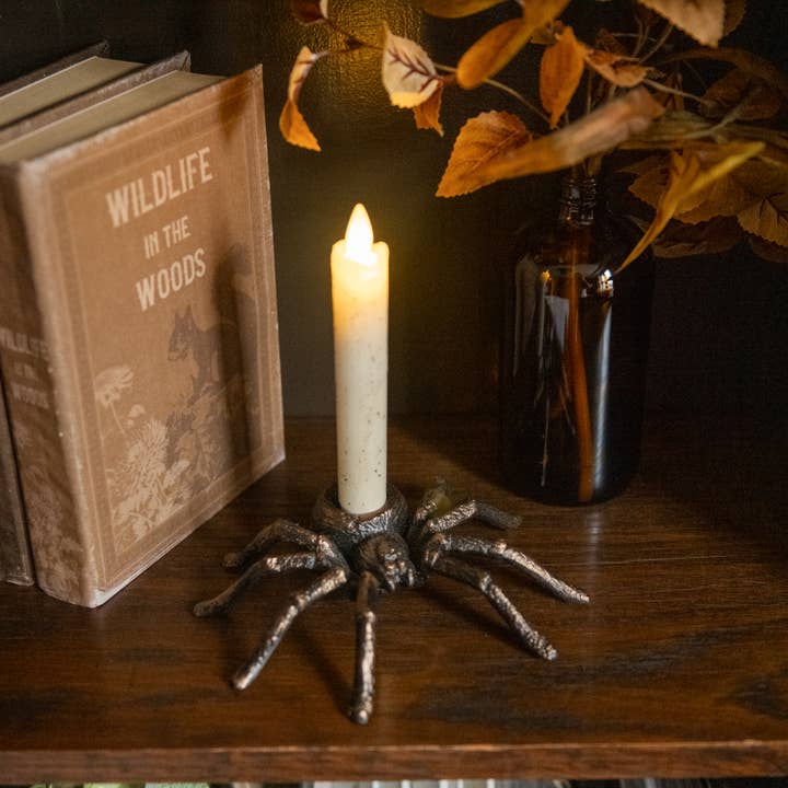 TARANTULA TAPER CANDLE HOLDER for wholesale by Ragon House