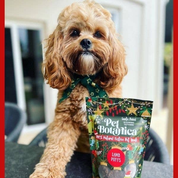 Pet Botanica - Wholesale Pet Treats - Dog - Christmas Dog Treats | Festive Treat Pouches for dogs
4