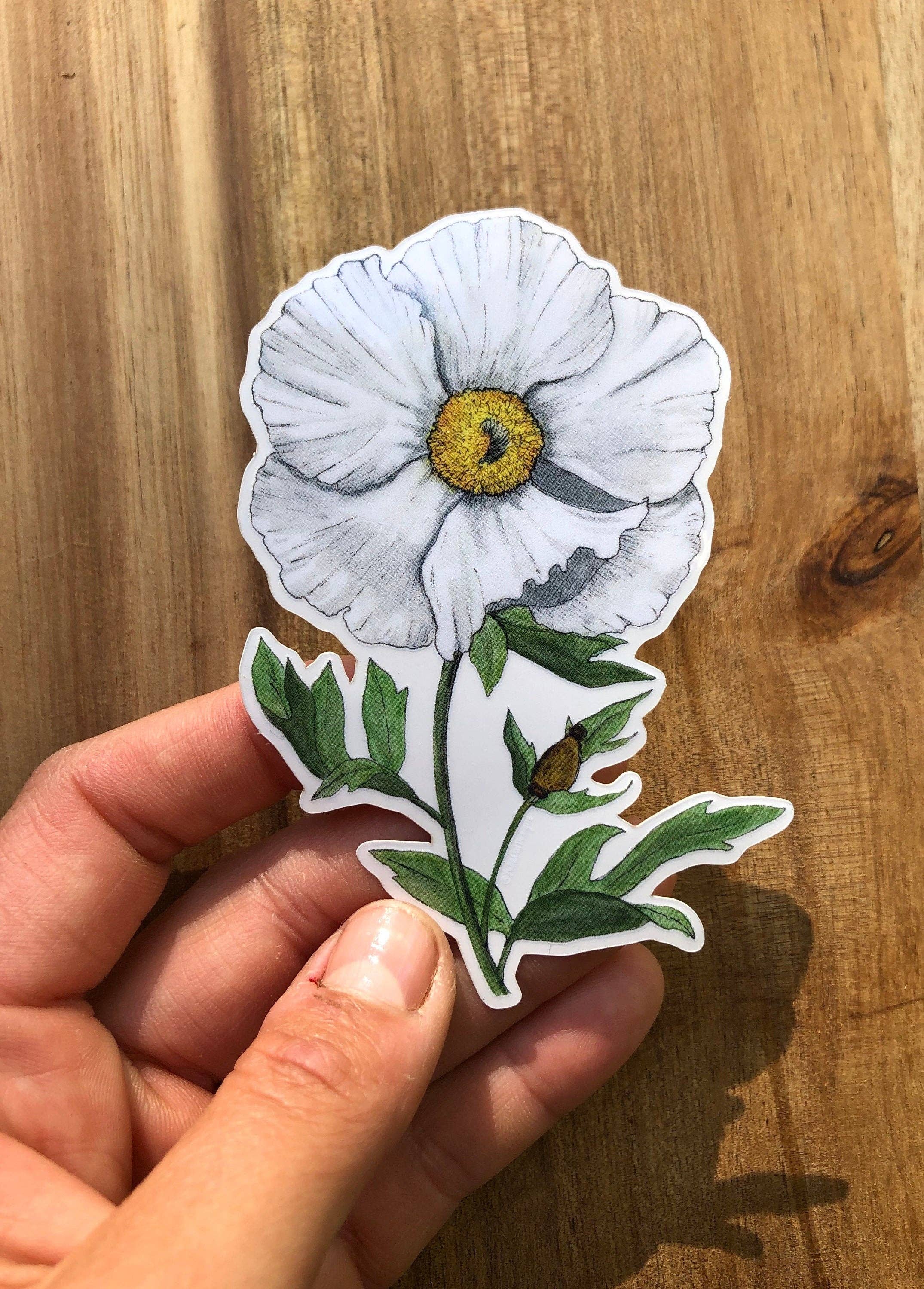 YubaCat Designs - Wholesale Sticker - Matilija Poppy sticker1