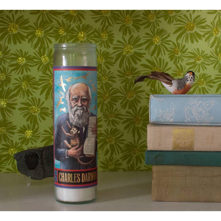 Unemployed Philosophers Guild - Venta al por mayor Velas en tarros - Charles Darwin - Vela Santa Secular