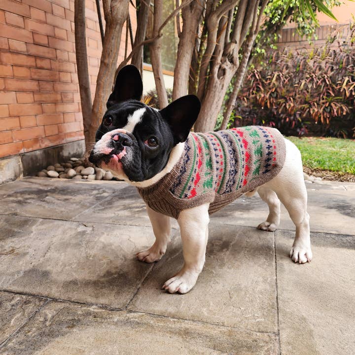 Alqo Wasi - Wholesale Pet Sweater - Dog - Pine Tree Holiday Dog Sweater