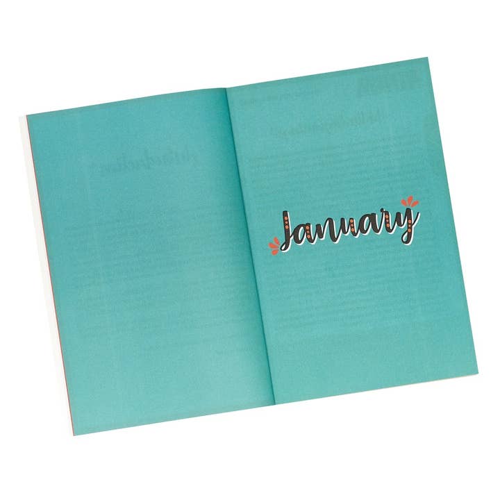 Christian Art Gifts - Wholesale Religion - Kid Book Amazing Stories for Young Believers Softcover4